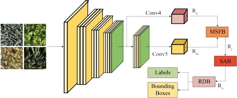 FLTrans-Net: Transformer-based feature learning network for wheat head detection